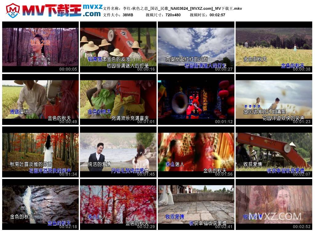 李红-秋色之恋_国语_民歌_NAI03624